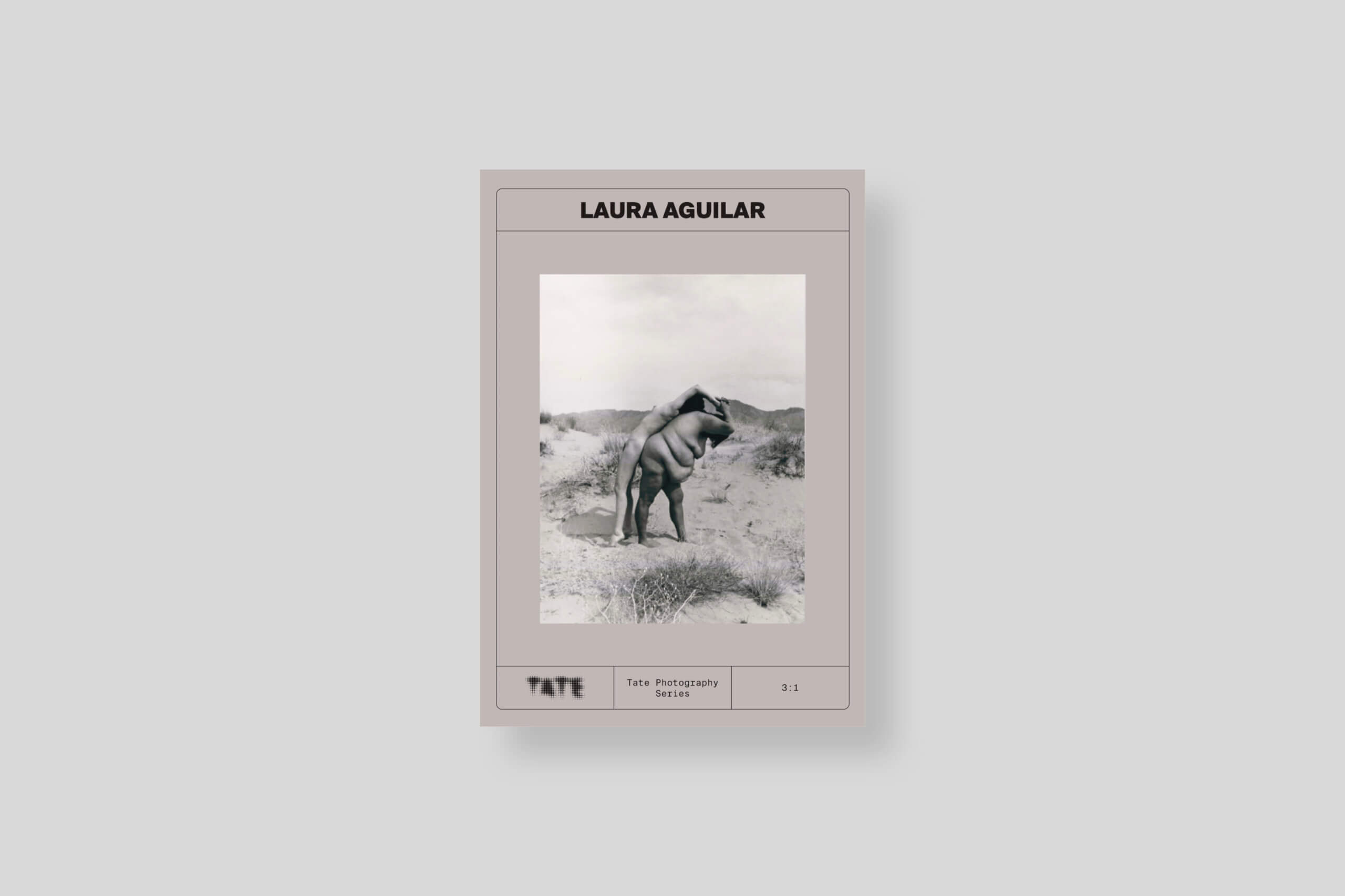 laura-aguilar-cover