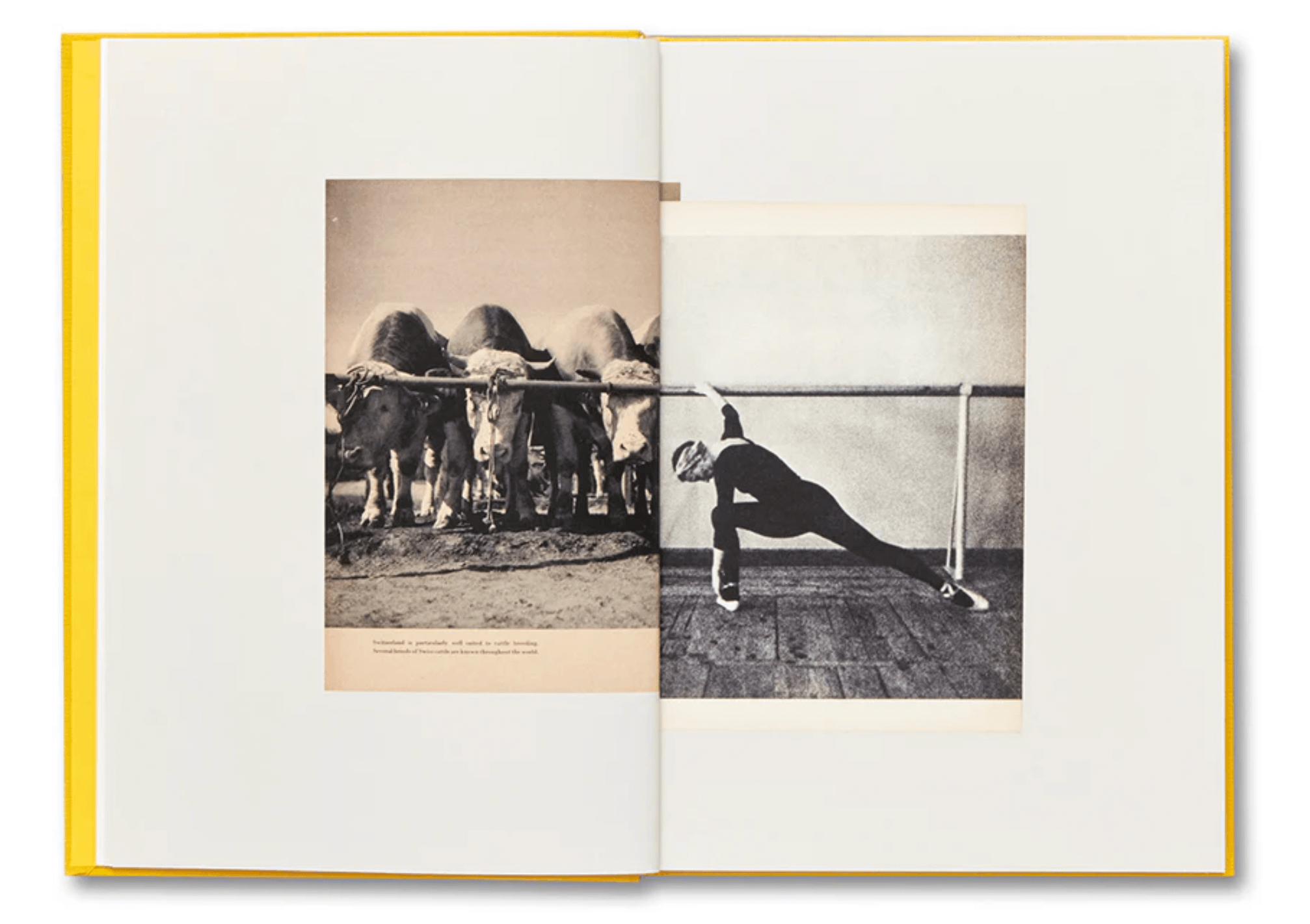 handbook-of-the-spontaneous-1