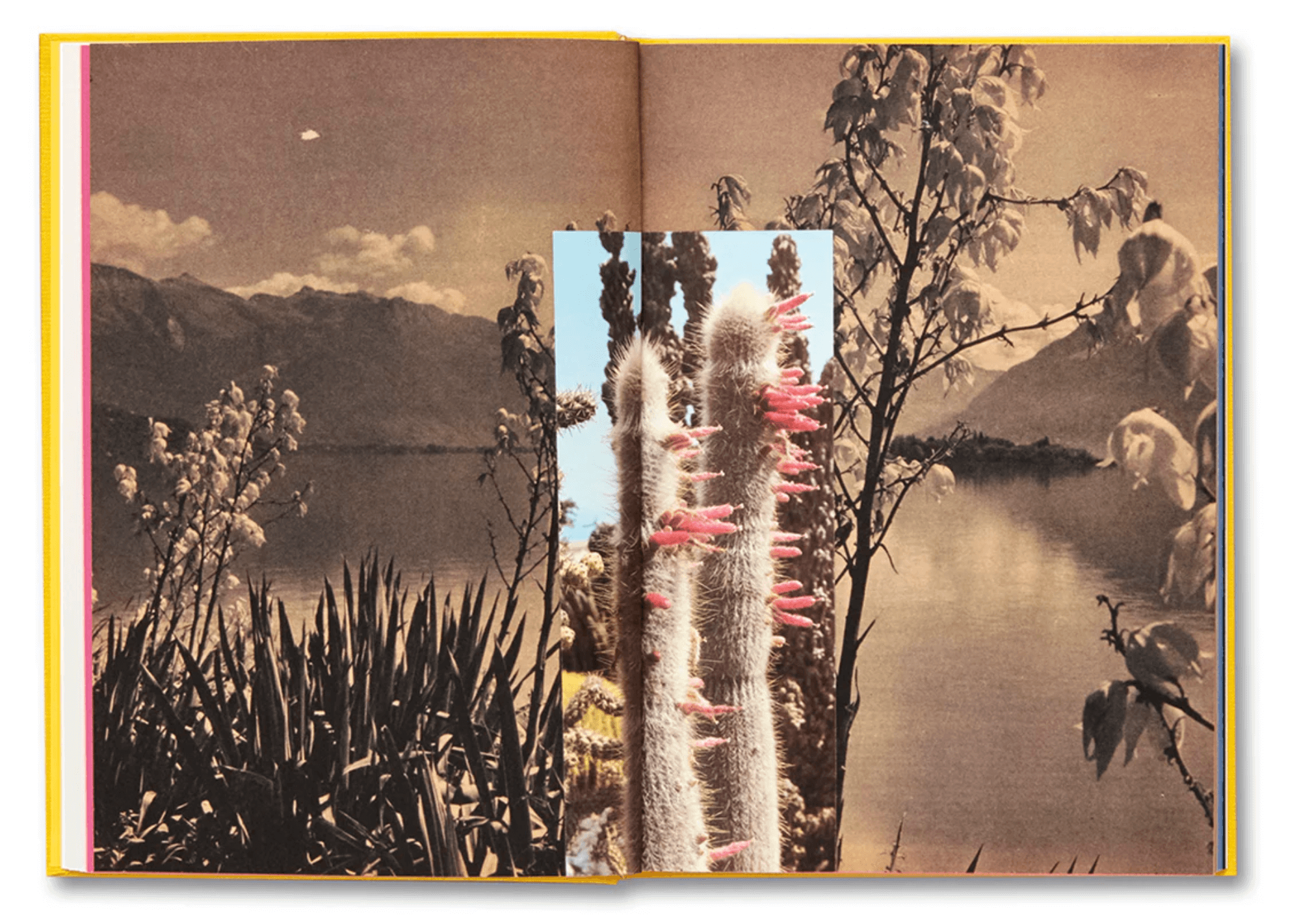 handbook-of-the-spontaneous-3