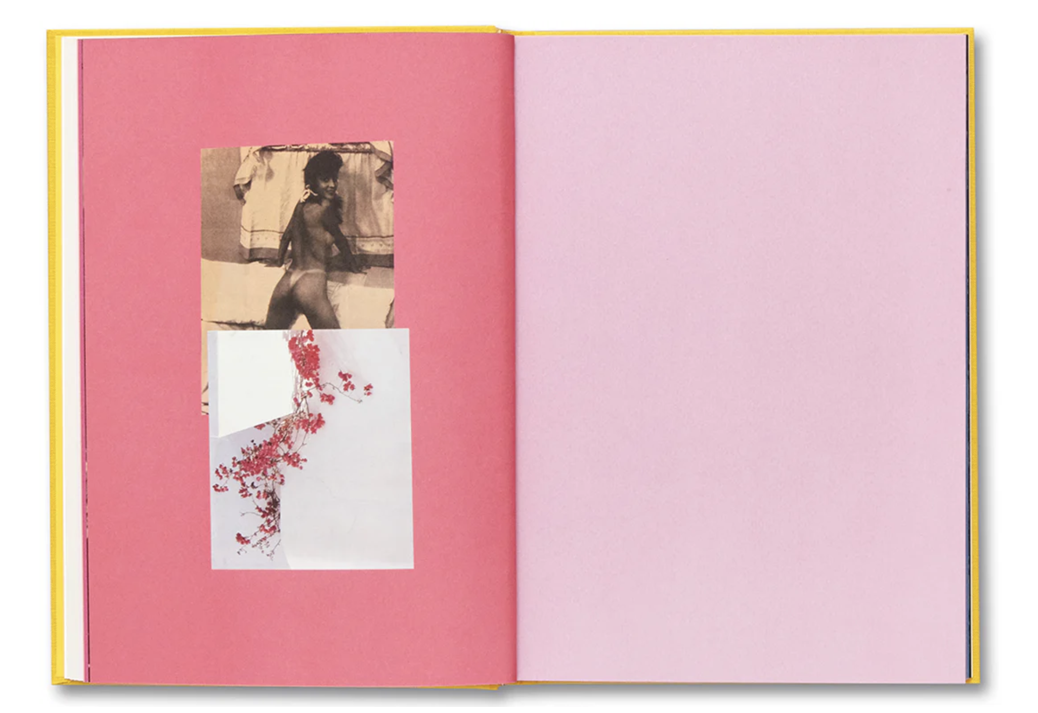 handbook-of-the-spontaneous-4